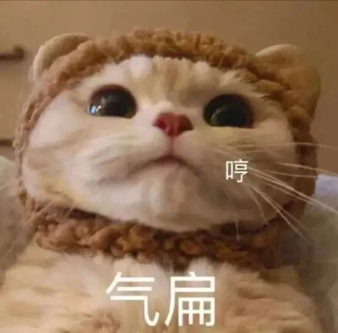 DƬ